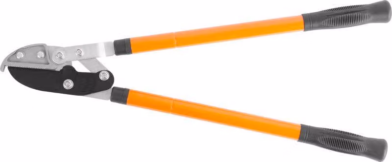 Cesoie Strend Pro KT3853A, da giardino, per rami, taglio 40 mm, CrV, telescopiche