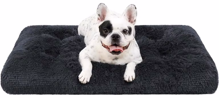 Cuccia per cani, lavabile, in peluche, 60x45 cm, grigio scuro, base antiscivolo, traspirante