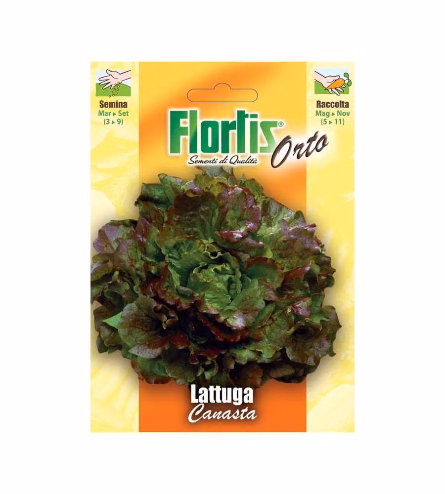 Flortis Semi di Lattuga Marvilla - Verde Riccia con Ciuffo Rosso 25-30 cm