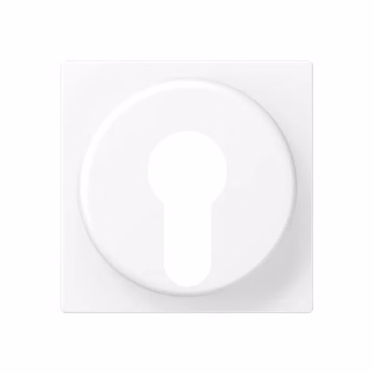 Copertura Jung per interruttore a chiave con protezione antismontaggio, termoplastica verniciata, serie A, bianco neve opaco A528PLWWM