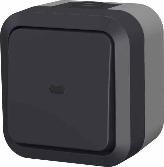 Interruttore Aqua Pro QUARX, per esterni IP55, con indicatore luminoso, 250 V 10 A