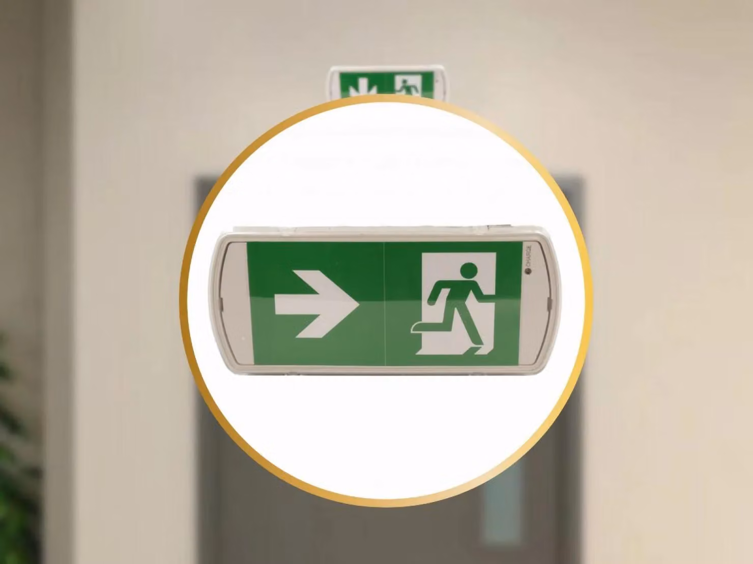 Lampada di emergenza a LED NEDES, 2W / 3 ore / IP65 - LEL103 - 26,9 cm