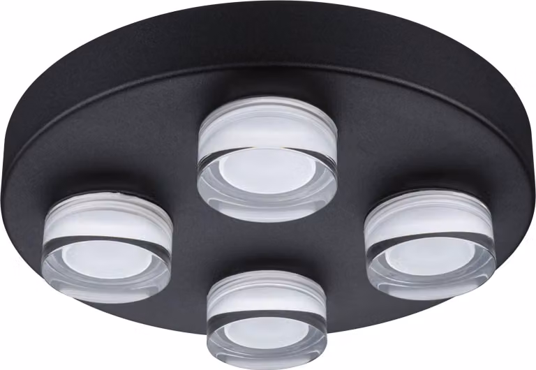 Paulmann Selection Lampada da parete/soffitto per bagno Kame
