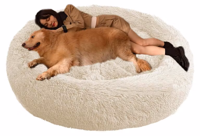 Cuccia ortopedica per cani e gatti, forma rotonda, diametro 70 cm, color beige