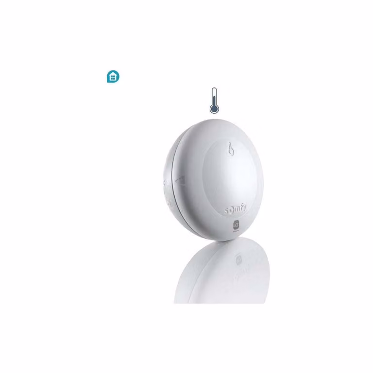 Sensore di temperatura wireless - Sensore di temperatura 1870848