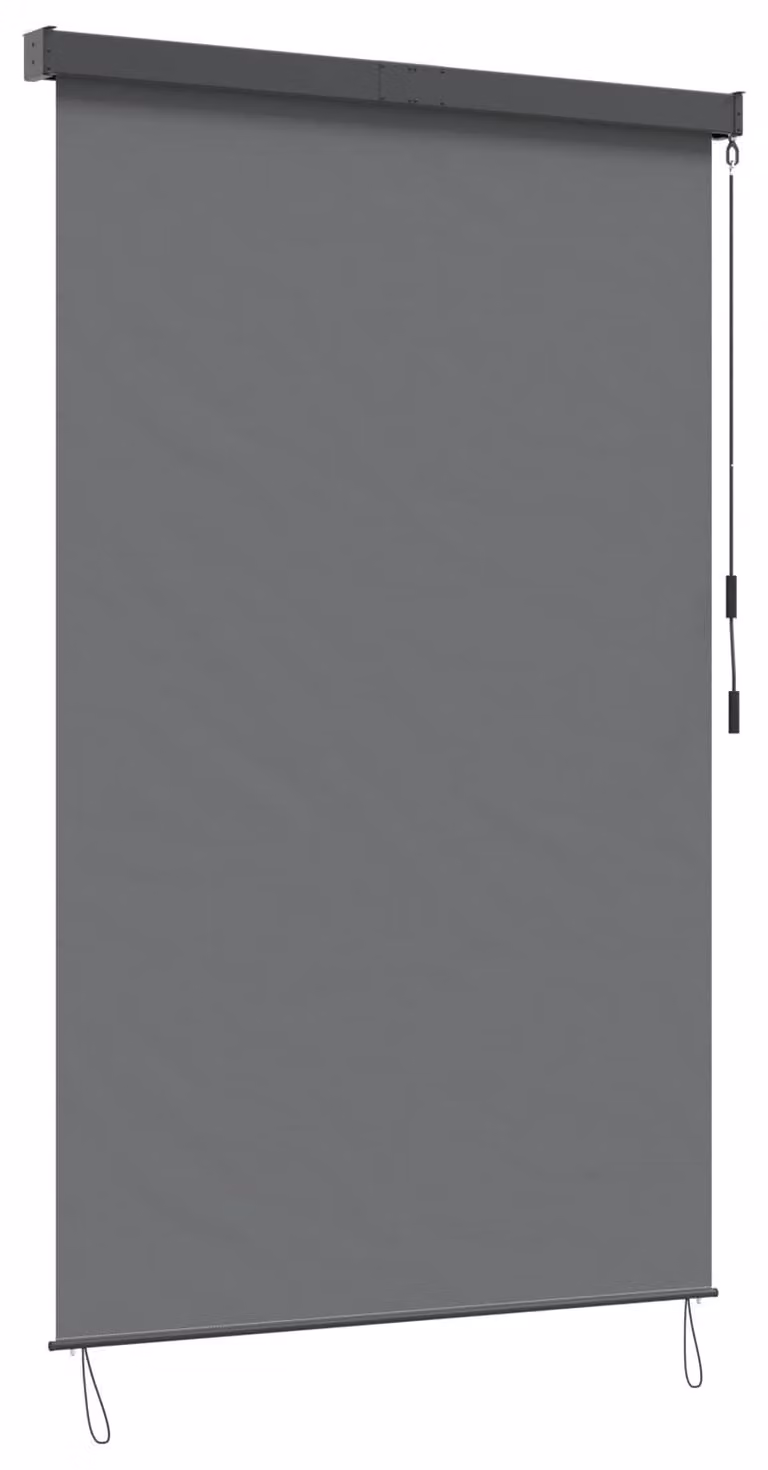 Tenda a rullo Grigio Chiaro 60 x 250 cm Tessuto e Alluminio