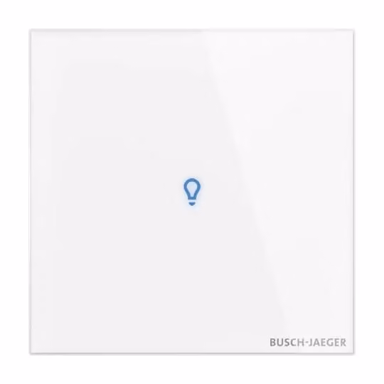 Busch-Jaeger TB/U1.1.11-CG | Comando touch, dispositivo configurabile a 1 canale