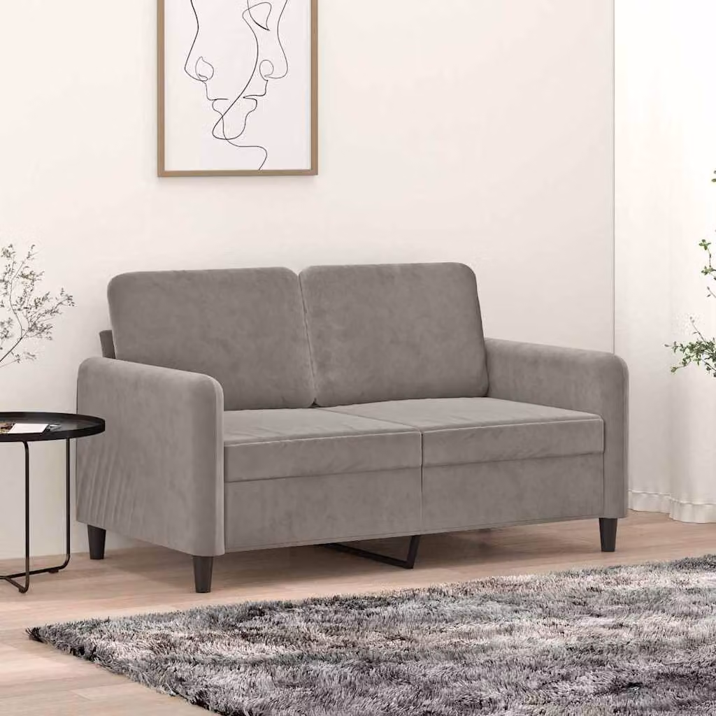 vidaXL Divano a 2 Posti Moderno in Velluto Grigio con Struttura Rinforzata