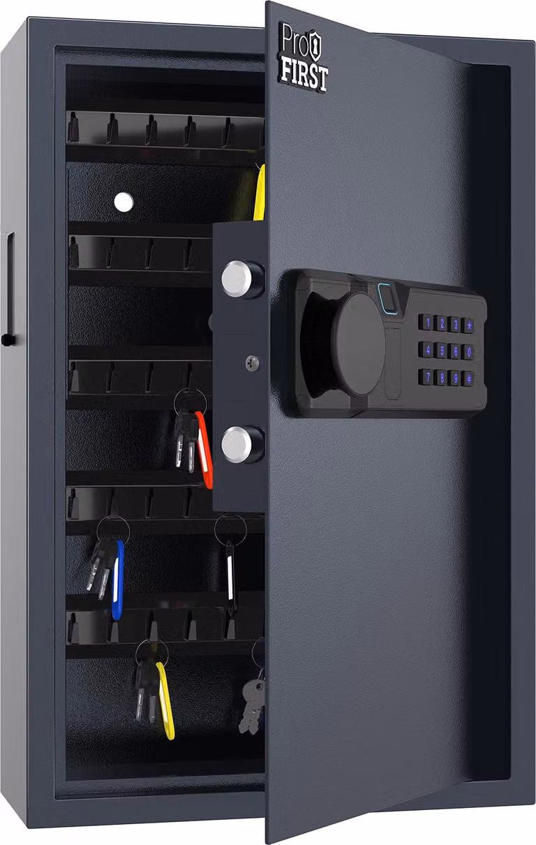 Profirst Cassetta di sicurezza per chiavi LockGuard 50 Serratura con impronta digitale antracite