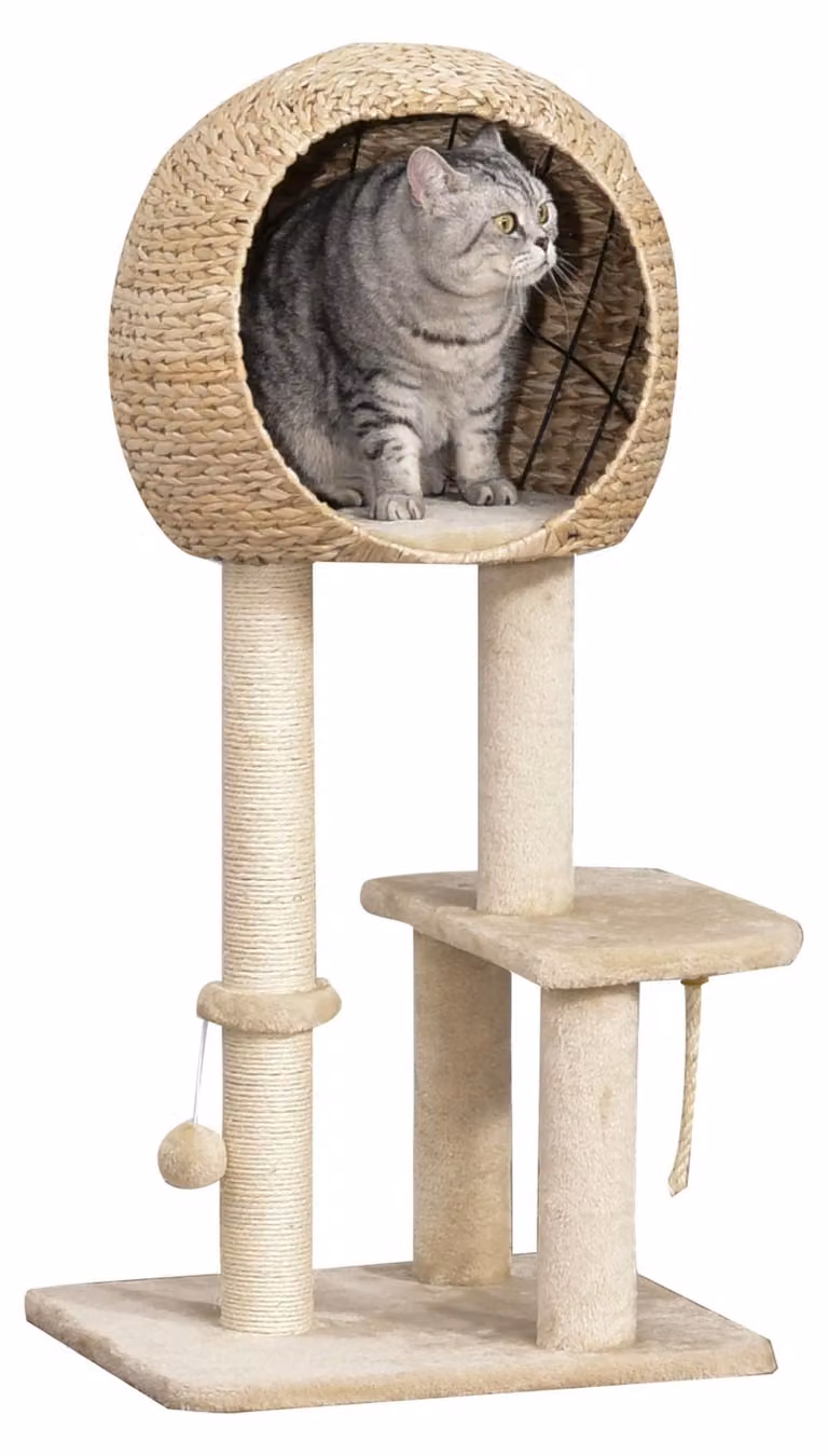Albero per gatti con tiragraffi | Colore: Beige | Dimensioni: 18,89 x 15,74 x 39,37 cm