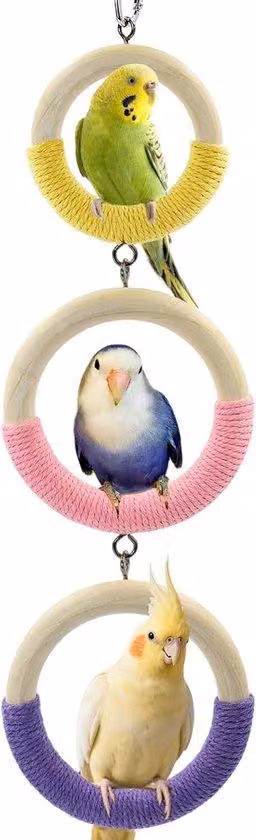 Struttura a treppolo triangolare e giochi da arrampicata - Corda di cotone avvolta per una presa morbida - Piattaforma in legno spessa per pappagalli, uccelli da compagnia e cacatua.
