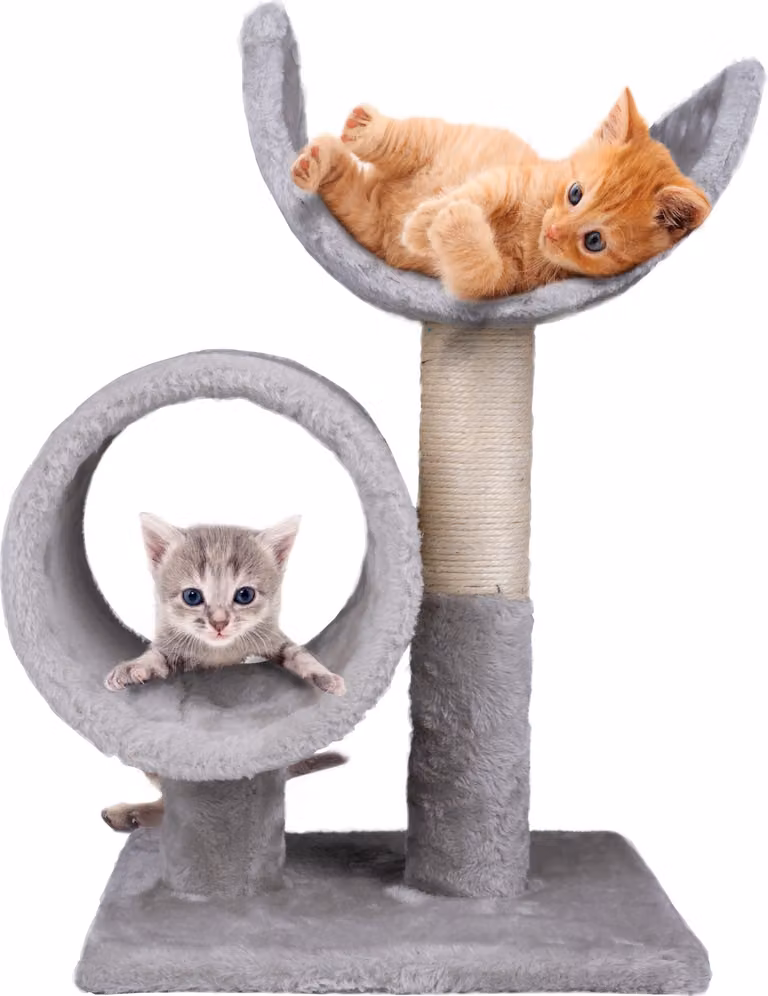 tiragraffi maxxpro - Albero per gatti con tunnel - Peluche e sisal - Grigio