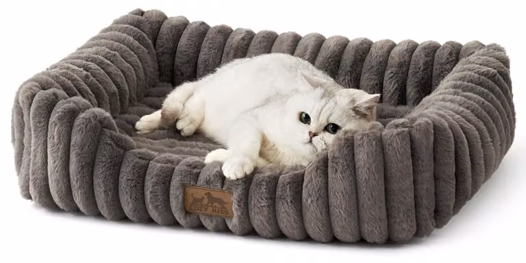 Cuccia per cani ortopedica - Schiuma memory - Grigio - 64 x 53 x 15 cm - Lavabile