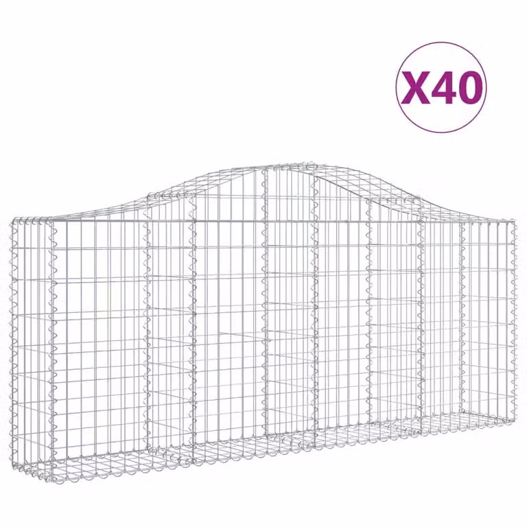 Cesti Gabbioni ad Arco 40 pz 200x30x80/100 cm Ferro Zincato