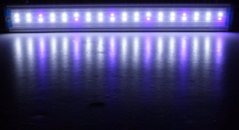 58.5CM alluminio regolabile LED acquario luce serbatoio pesce pannello lampada blu + bianco AC220V