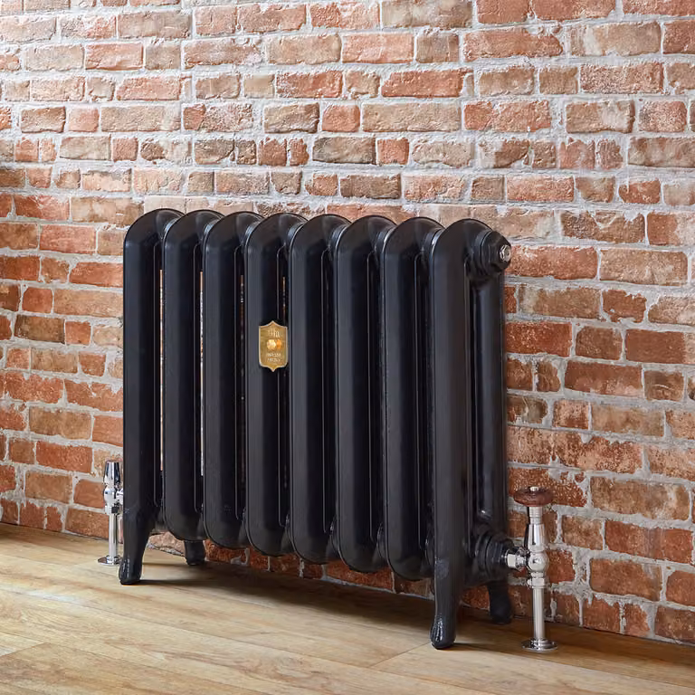 Radiatore in Ghisa Tradizionale con Colonne Ovali - Nero - 560mm x 351mm - Ertè