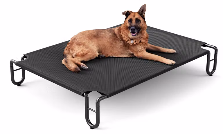 Cuccia rialzata per cani - Grande dimensione - 122x85x20 cm - Struttura in metallo a rete - Adatta per interni ed esterni - Ciotola trasportabile per cani