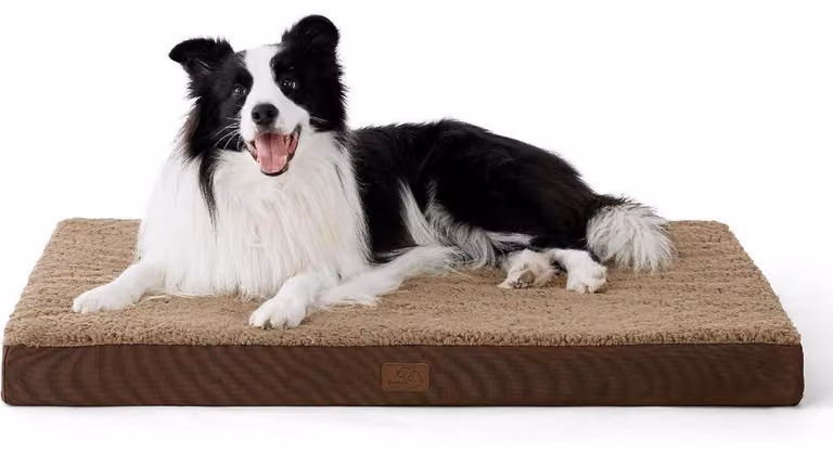 Cuccia ortopedica per cani, 91x69x8 cm, marrone, lavabile, adatta a cani di grossa taglia