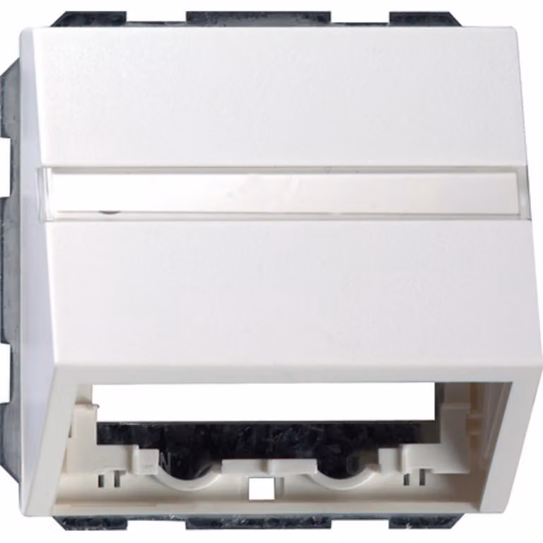 Gira cover data tech. rwsgl System55 087003
