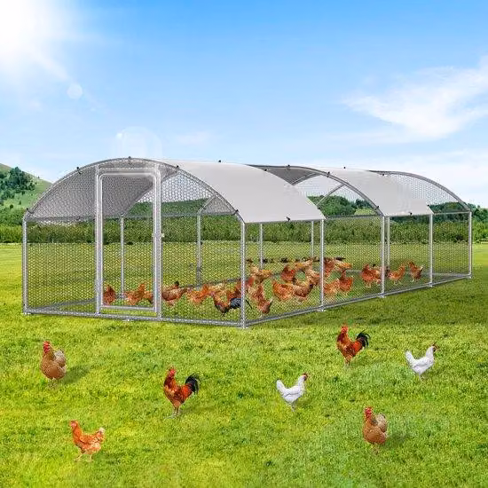 Casetta per uccelli 3 x 8 x 2 m con serratura di sicurezza, pollaio in metallo per galline, struttura in acciaio zincato con tetto impermeabile in PE, adatta per conigli e altri piccoli animali