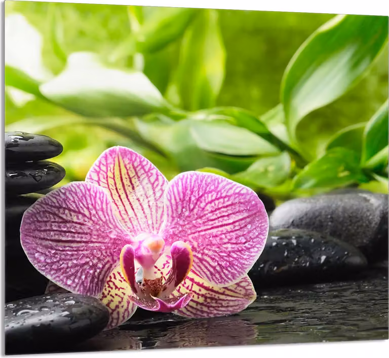 PIATTO DI VETRO PER CUCINA 65x60 Orchidea