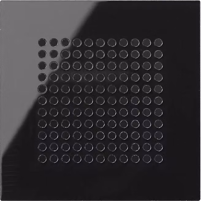 Gira 248305 Coperchio per diffusori System 55 look vetro nero
