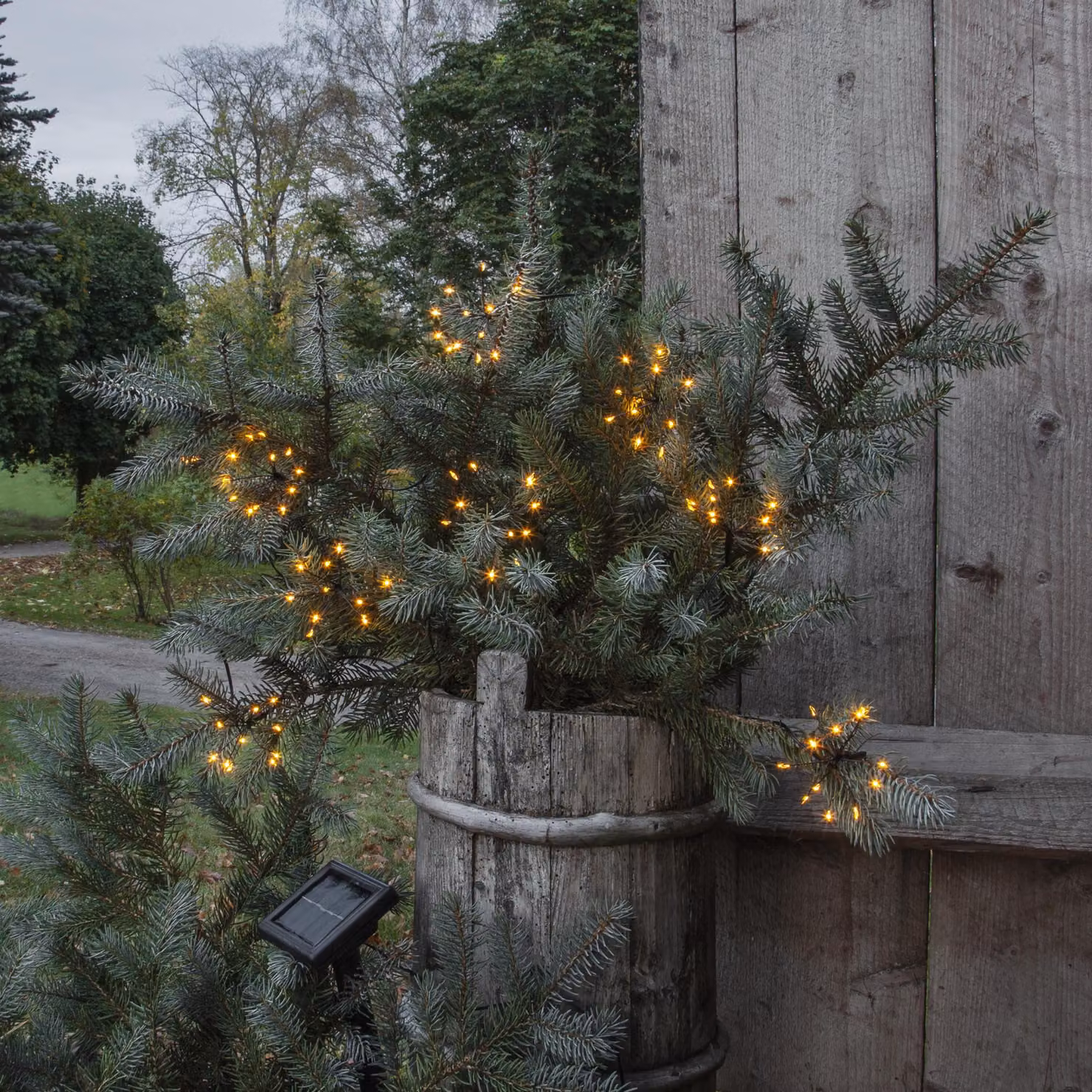 Catena da giardino a Led solare FIREWORK®