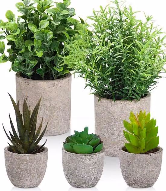 Set di 5 piante artificiali, mini eucalipto, fiori artificiali, decorazioni per la casa, soggiorno, balcone