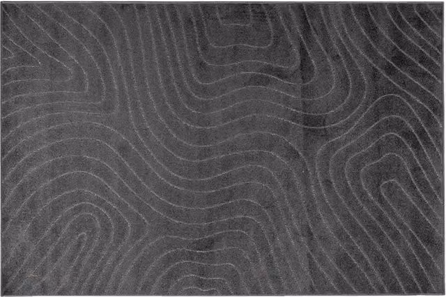 Tappeti per area | Tappeti a zone PALMERAS Antracite 340 x 240 cm Poliestere