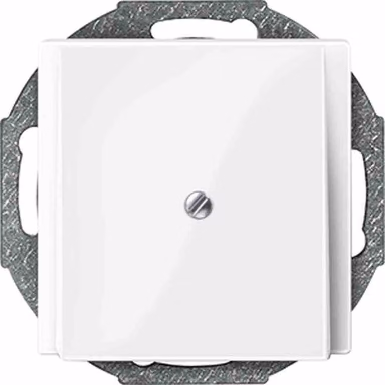 MERTEN Zentralplatte Leitungsausl. 296319 System M polarweiss glänzend 296319 296319 (296319)
