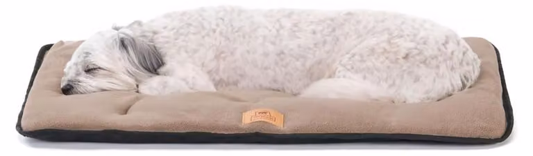 Cuscino per cani Ferplast, divano per cani, cuccia per cani, ideale per cani di piccola taglia, fronte-retro, resistente ai graffi