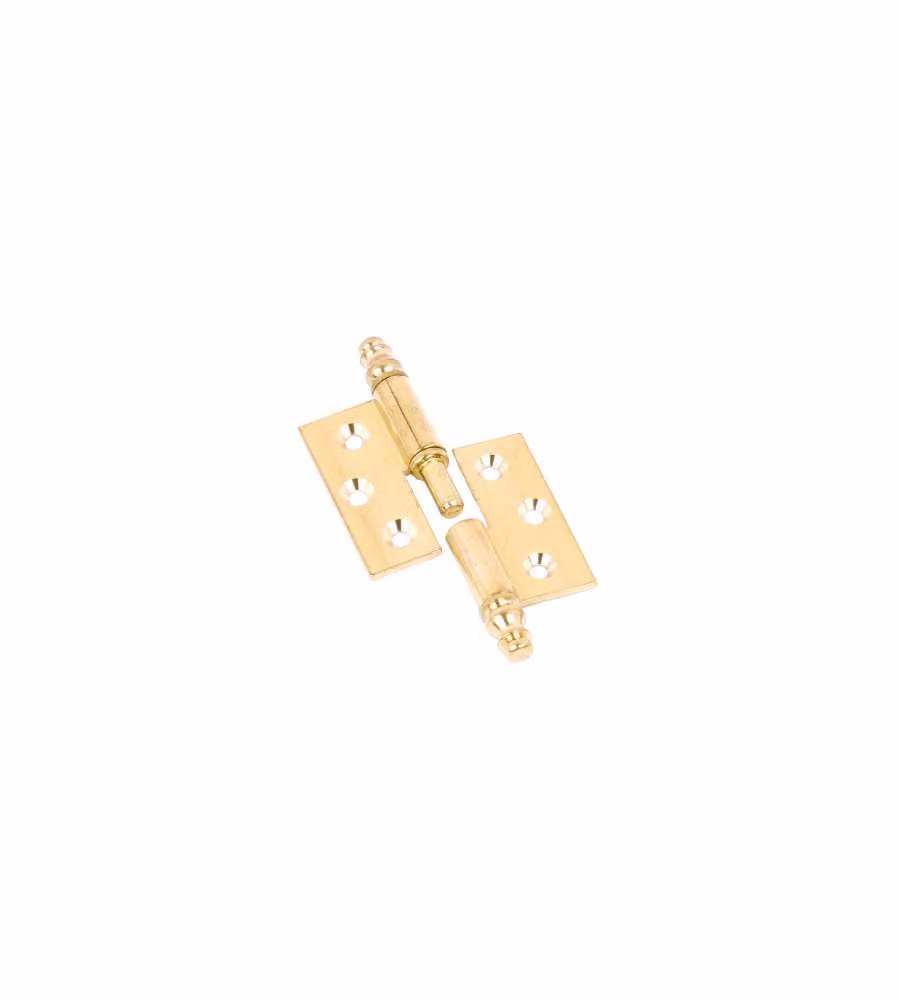 Cerniere Piane Canotto Liscio Ottone Lucido Mm.50X40 Destra