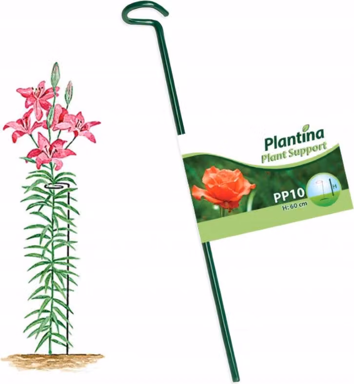Supporto per piante 60 cm in acciaio, verniciato a polvere verde, stabile e resistente alle intemperie