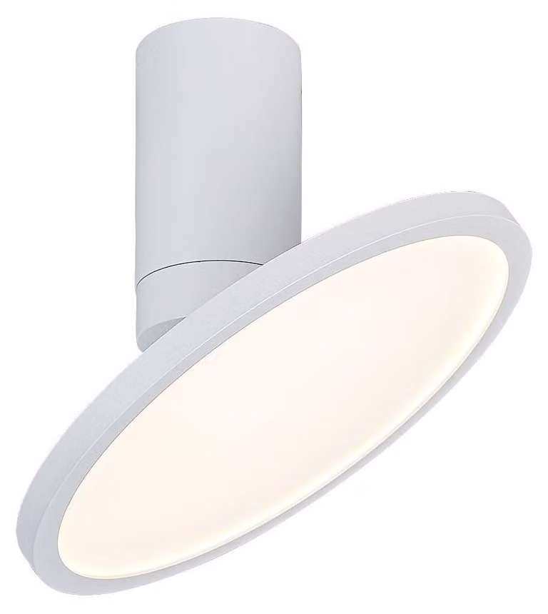Rabalux 71328 Lampade a sospensione Ovidia LED 20 metallo metallo bianco