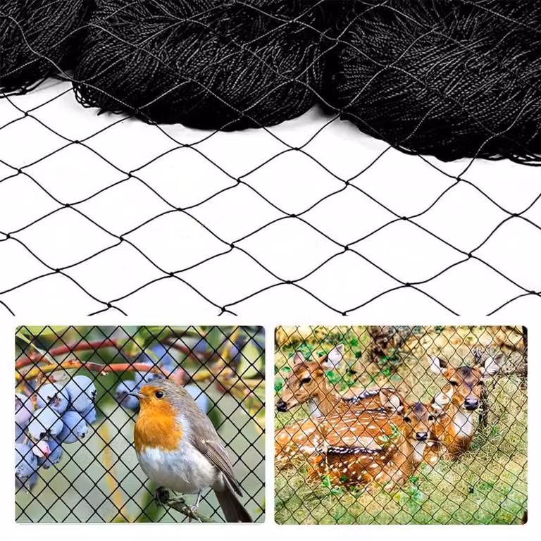 Rete di protezione per uccelli, 10x10 metri, colore nero, maglia da 5x5 cm. Ideale per balconi, piante, stagni, recinti per polli
