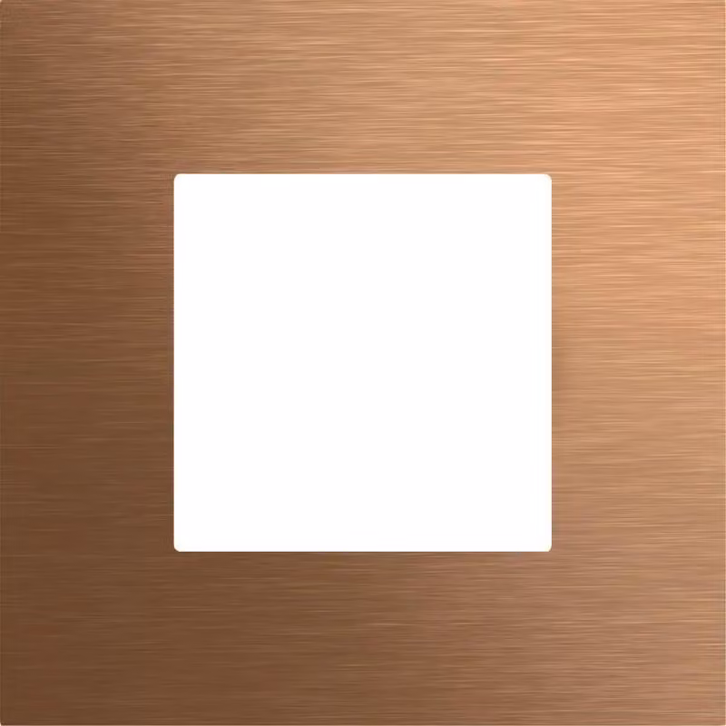 Pannello frontale Gira. Modulo per impronte digitali Gira KeyIn. Sistema 106. Bronzo. 5545921