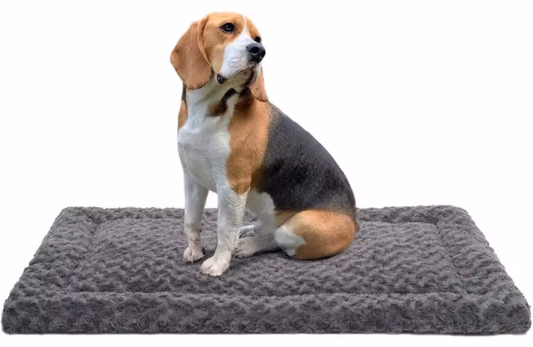 Tappetino lavabile per cani, dimensioni 91x58 cm, colore grigio scuro