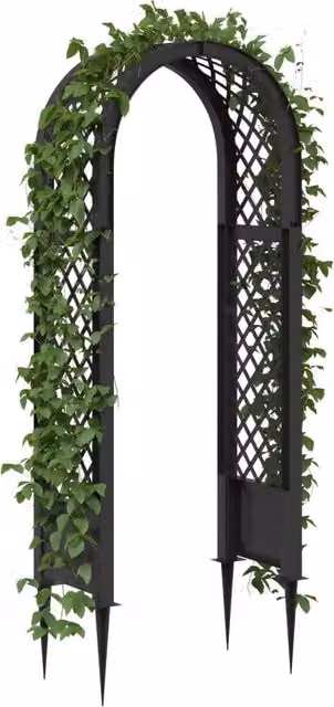 Arco di rose con punte Antracite 97 x 43 x 218 cm PP CFW5162863