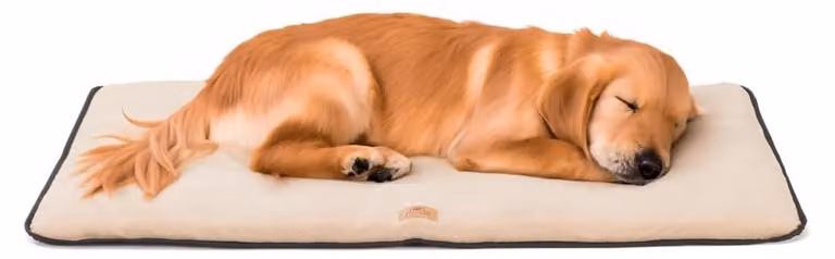 Cuscino per cani Ferplast, divano per cani, cuccia per cani, ideale per cani di grossa taglia, fronte-retro, resistente ai graffi