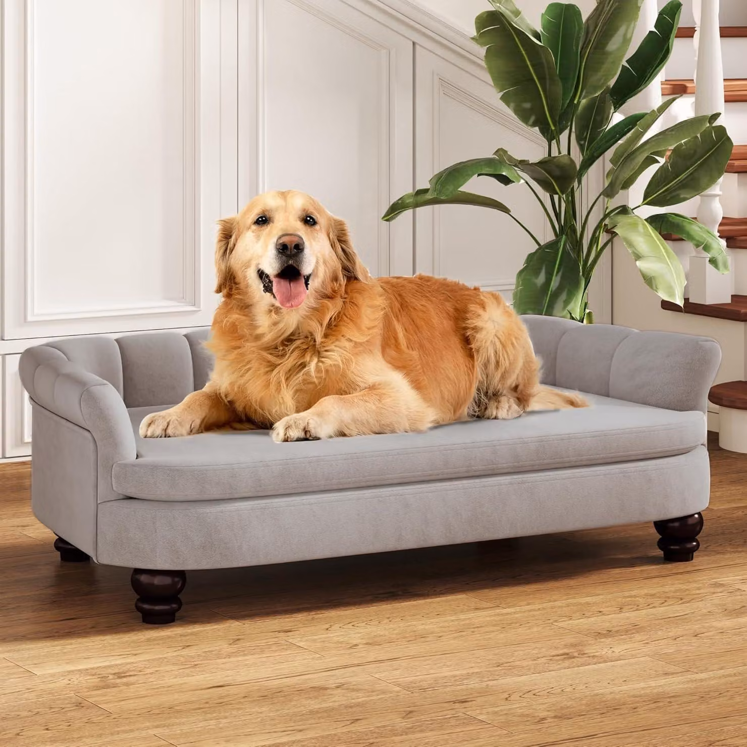 Divano per cani, colore grigio, con cuscini in velluto, adatto a cani di taglia grande e media, lavabile
