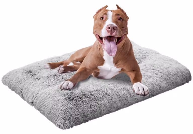 Cuccia per cani, peluche, grigia, 68x100 cm, lavabile, antiscivolo