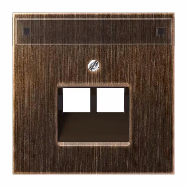 Jung ME2969-2NAUAAT Copertura con campo di scrittura 12 x 55 mm in ottone anticato