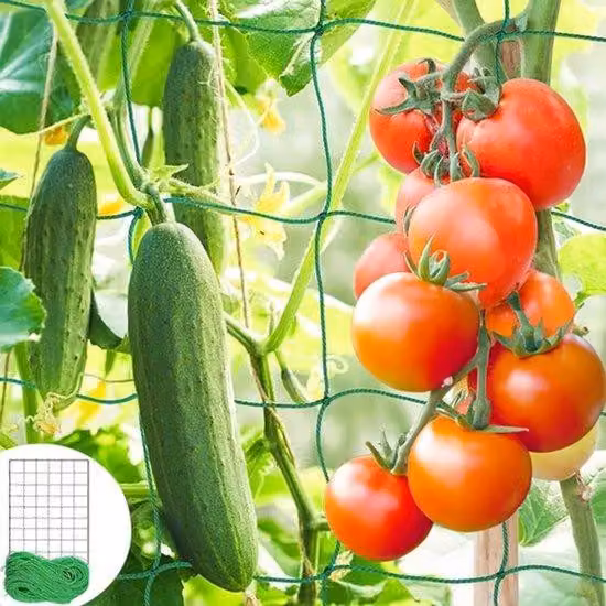 Supporto per piante rampicanti, pomodori e cetrioli, dimensioni 1,8 x 2,7 m, supporto per piante di grande diametro, ideale per giardino, balcone e veranda