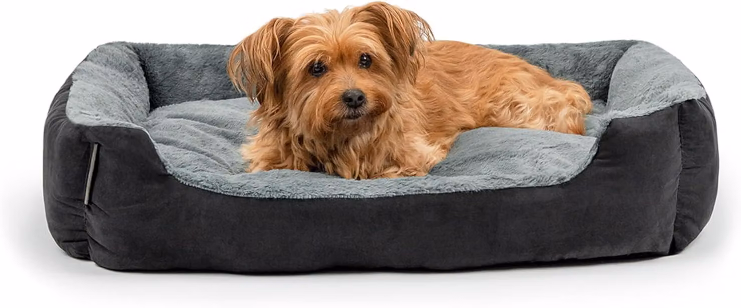 Cuccia per cani, 75x60 cm, con cuscino reversibile, base antiscivolo, colore nero e grigio, adatta sia per interni che per esterni