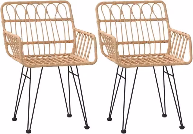 Set di 2 sedie da giardino con braccioli in rattan beige e struttura in metallo, ideali per esterno, balcone o terrazza, L: 56 cm, P: 64 cm, H: 80 cm – 1