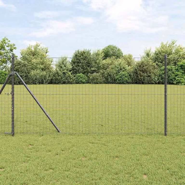 Maison Exclusive - Recinzione Eurozaun, 1 x 25 metri, ferro rivestito in PVC, colore grigio