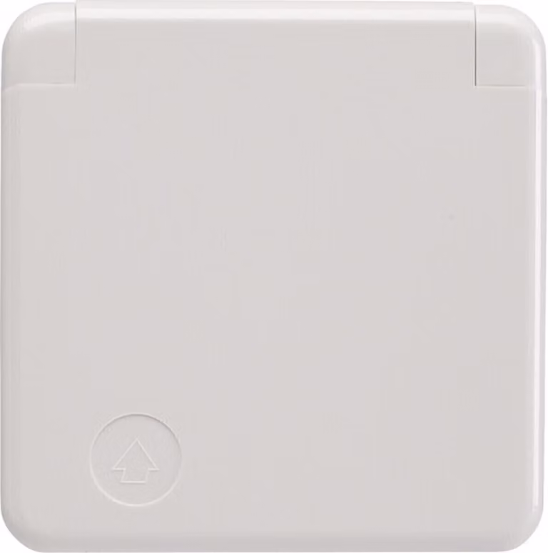 Berker 421109 Presa SCHUKO con piastra di copertura e coperchio incernierato bianco polare, lucido wg Up IP44
