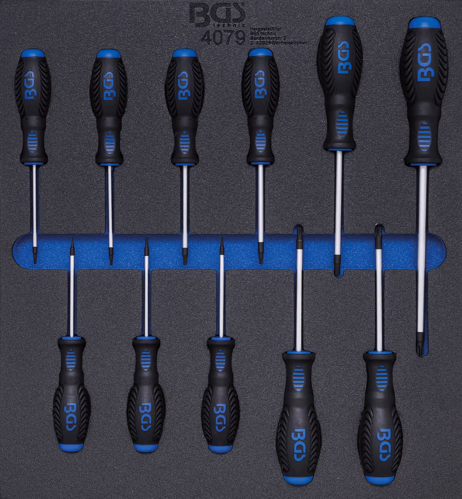 BGS Inserto per carrello da officina 2/3: Cacciavite a profilo T (per Torx) T6 - T40 11 pezzi - 4079