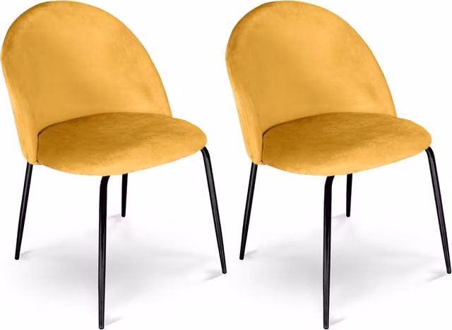 Set di 2 sedie da pranzo Samira in velluto giallo con gambe in metallo nero