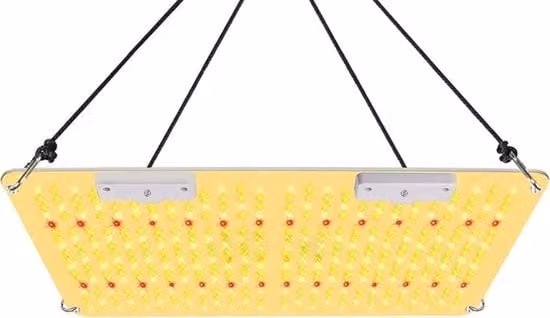 Lampada a LED per Coltivazione - 2000W